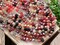 6x8mm Red Mix Electroplated Glass Faceted Rondelle Beads (16" Strand)